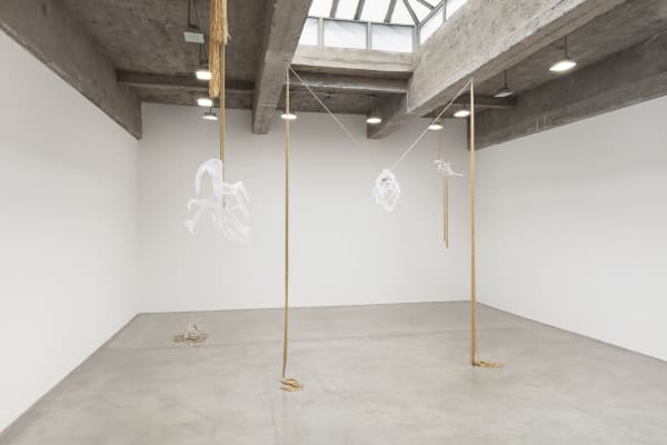 akashi installation view at TBG NY