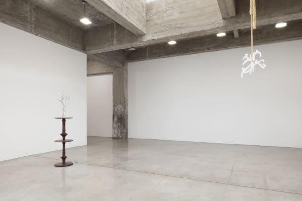 akashi installation view at TBG NY