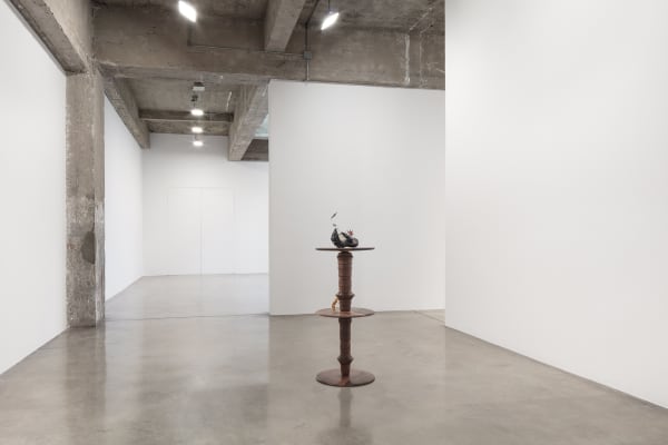 akashi installation view at TBG NY
