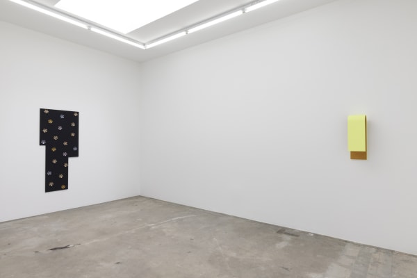 Lisa Williamson's installation image.