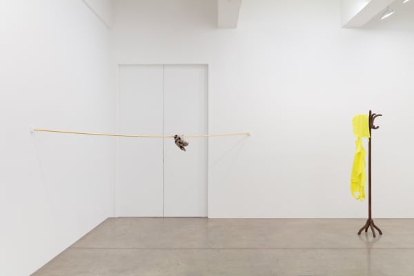 Installation image of Karyn's show