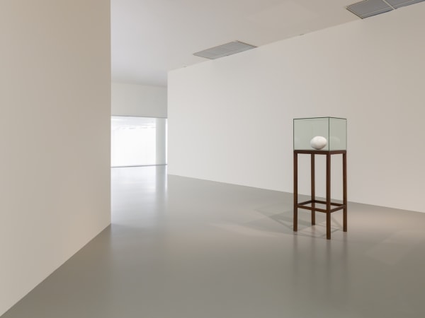 Shilpa Gupta installation image
