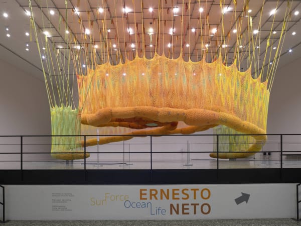 Neto installation image of SunForceOceanLife.