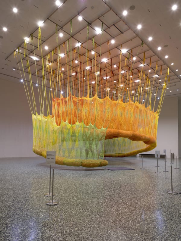 Neto installation image of SunForceOceanLife.