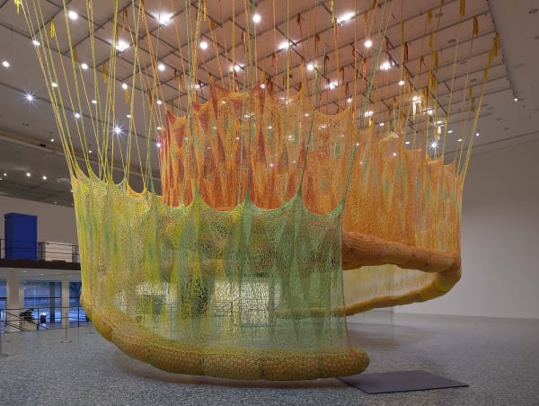 Neto installation image of SunForceOceanLife.