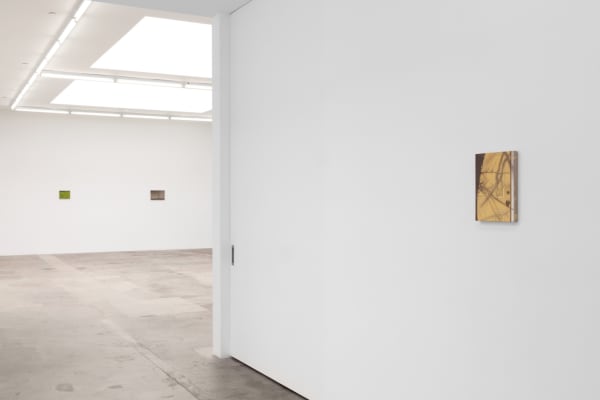 Installation image of Dana Powell.