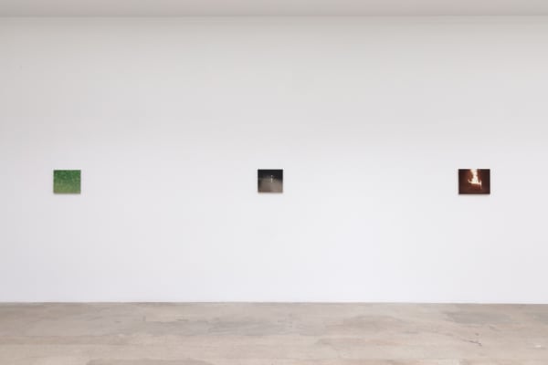 Installation image of Dana Powell.