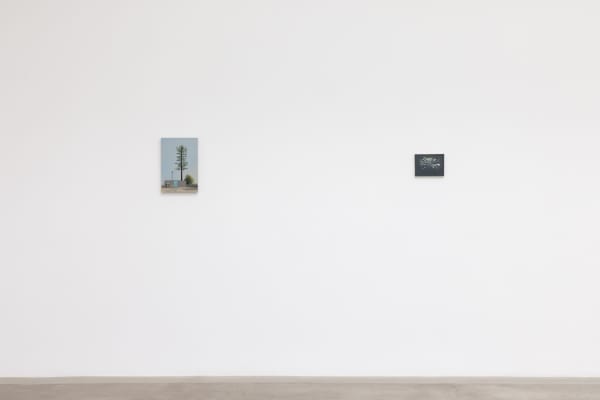 Installation image of Dana Powell.