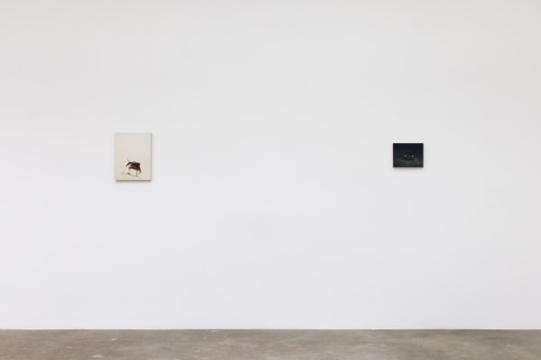 Installation image of Dana Powell.
