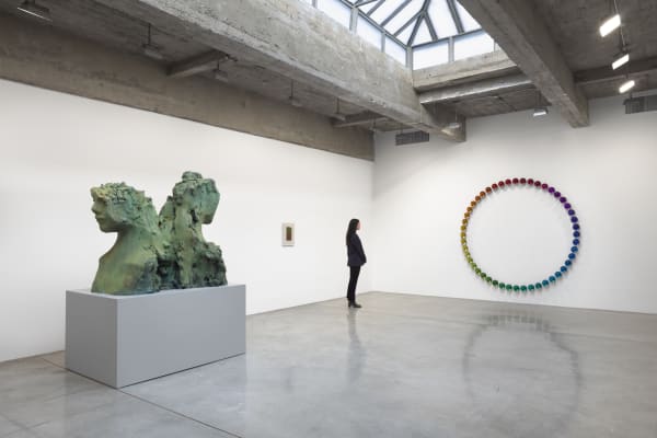 IRL installation image