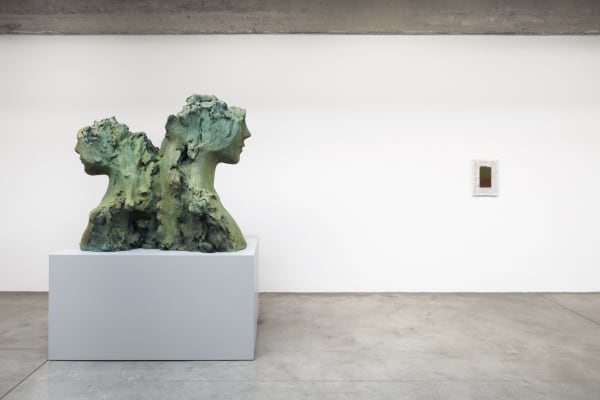 IRL installation image