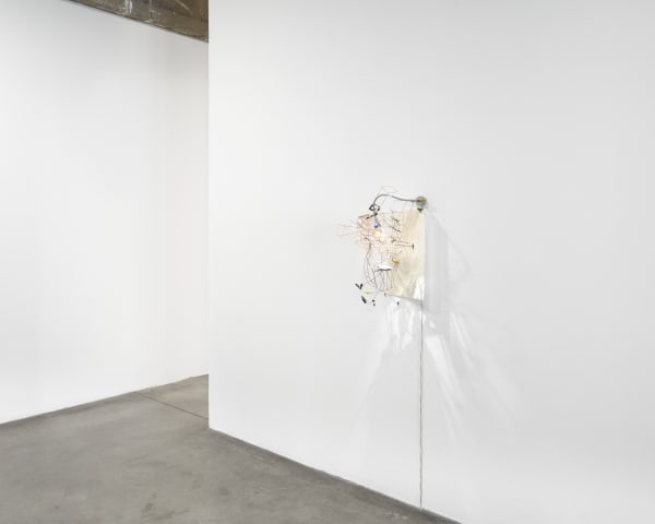 IRL installation image