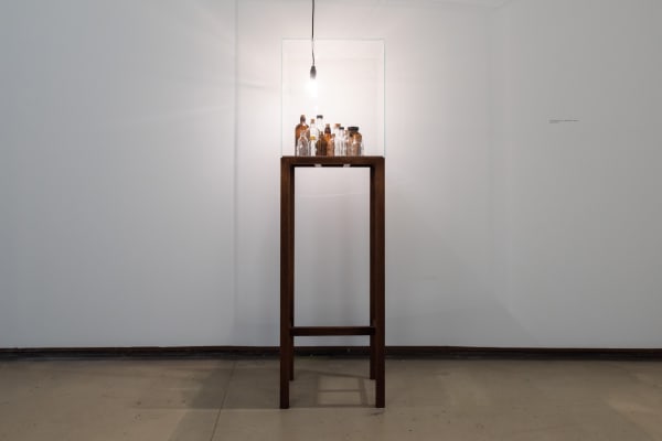 Shilpa Gupta installation image