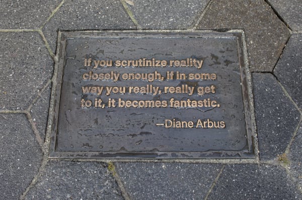Gillian Wearing: Diane Arbus