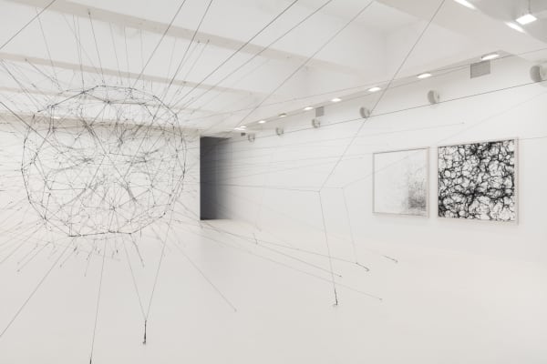 Installation image of Tomas Saraceno Silent Autumn