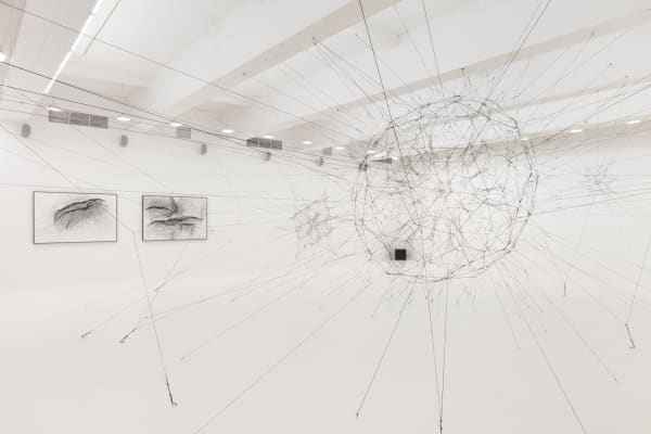 Installation image of Tomas Saraceno Silent Autumn