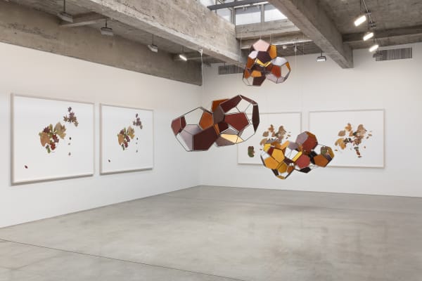 Installation image of Tomás Saraceno: Silent Autumn