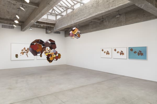 Installation image of Tomás Saraceno: Silent Autumn