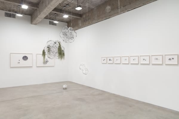 Installation images of Tomas Saraceno Silent Autumn.