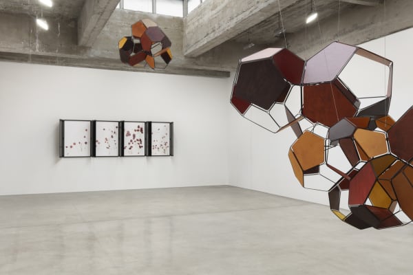 Installation image of Tomás Saraceno: Silent Autumn