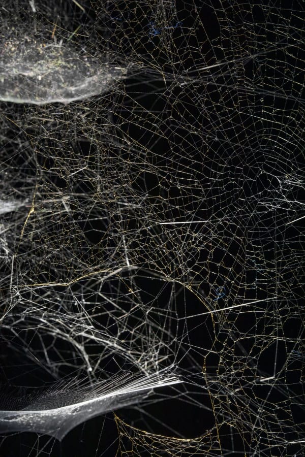 Installation image of Tomás Saraceno: Particular Matter(s)
