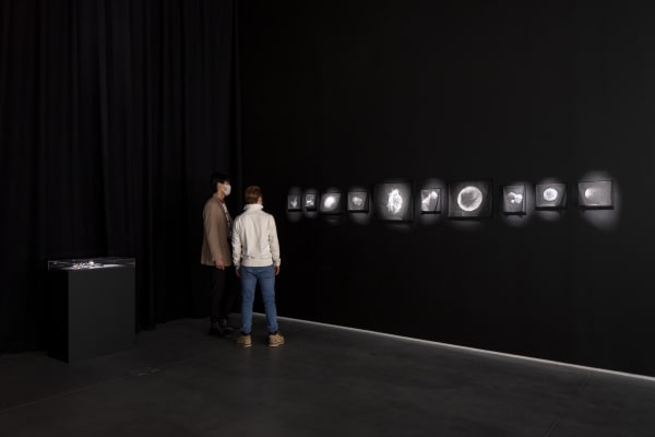 Installation image of Tomás Saraceno: Particular Matter(s)