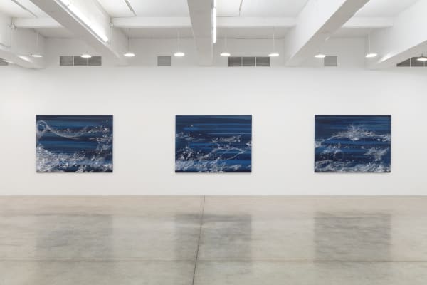 Sandra Cinto installation image