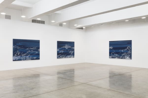 Sandra Cinto installation image