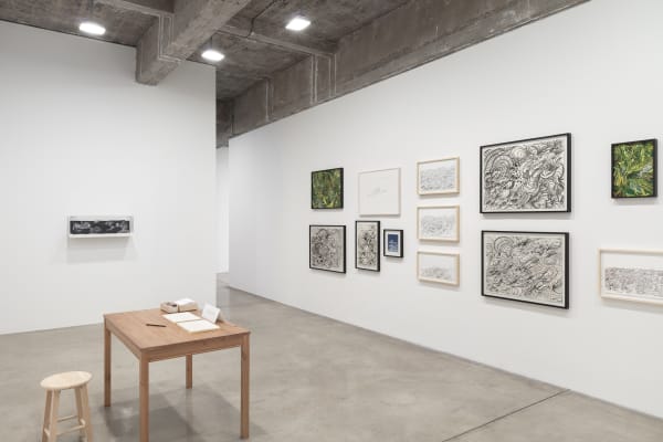 Sandra Cinto installation image