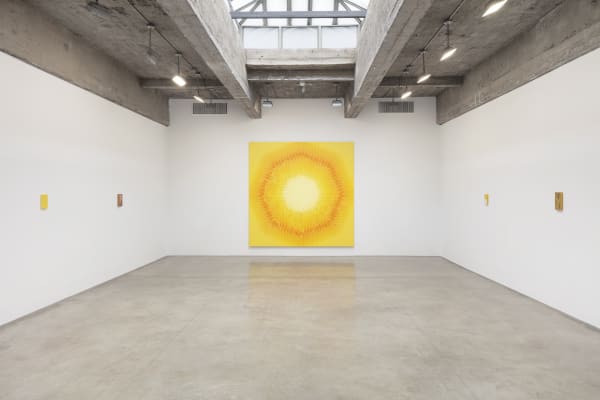 Sandra Cinto installation image