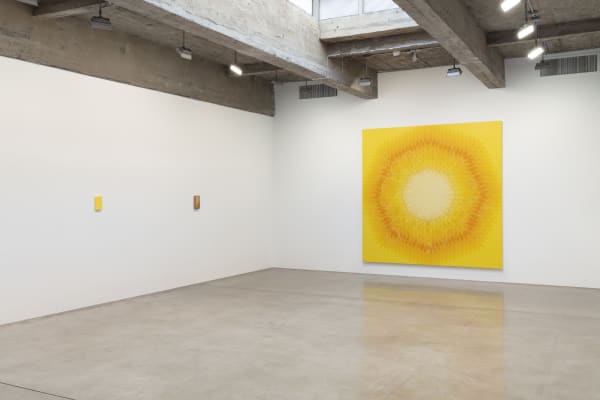 Sandra Cinto installation image