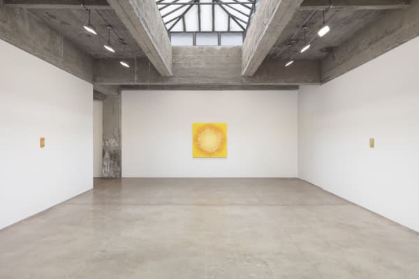 Sandra Cinto installation image