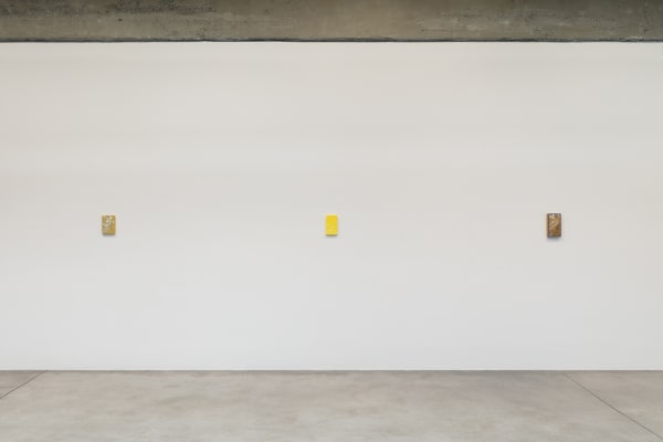 Sandra Cinto installation image
