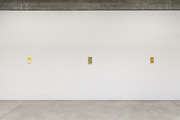 Sandra Cinto installation image