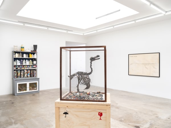 Mark Dion installation images