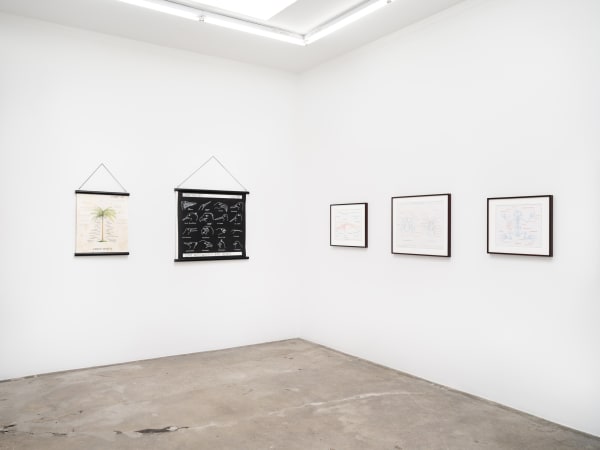 Mark Dion installation images