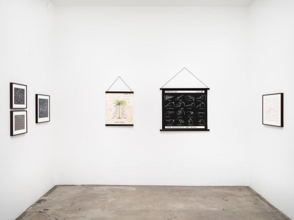 Mark Dion installation images