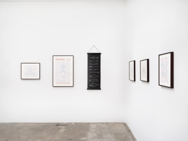 Mark Dion installation images