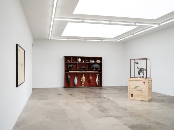 Mark Dion installation images