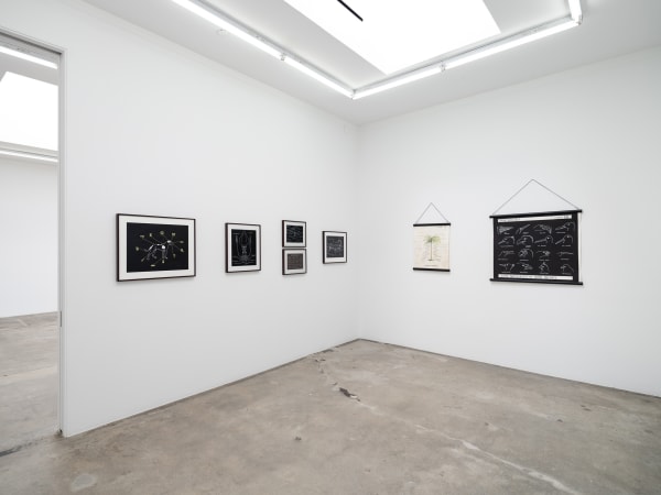 Mark Dion installation images