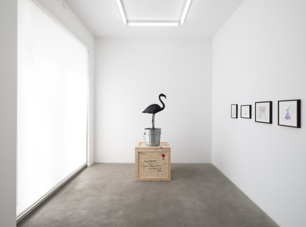 Mark Dion installation images