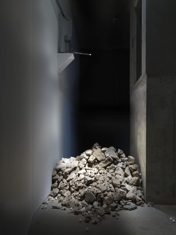 Wong Ping installation view of Earwax