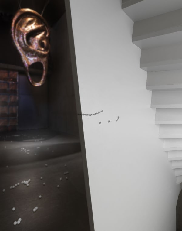 Wong Ping installation view of Earwax