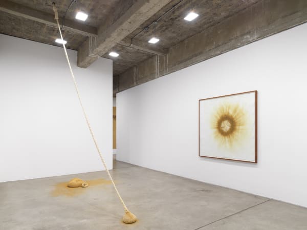 Ernesto Neto installation image.
