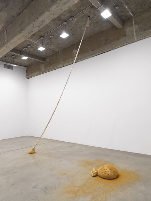 Ernesto Neto installation image.