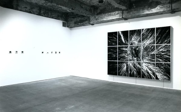 Nature Morte black and white install image