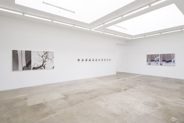 Uta Barth TBG LA exhibition image.