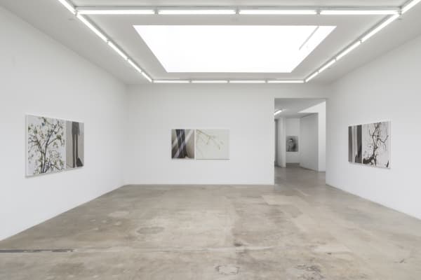 Uta Barth TBG LA exhibition image.
