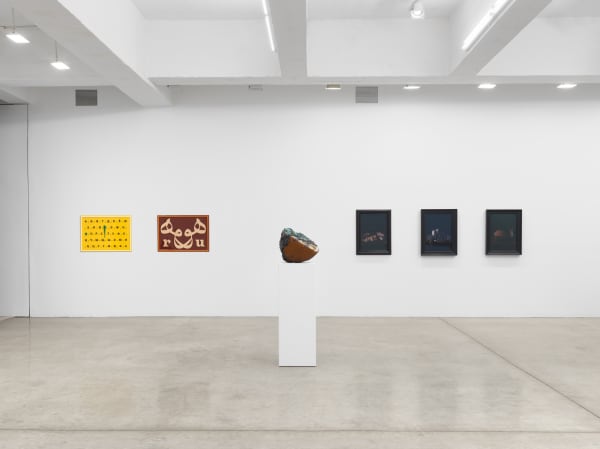 fruiting bodies installation images.