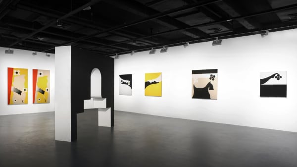installation image of Math Bass: Serpentine Door